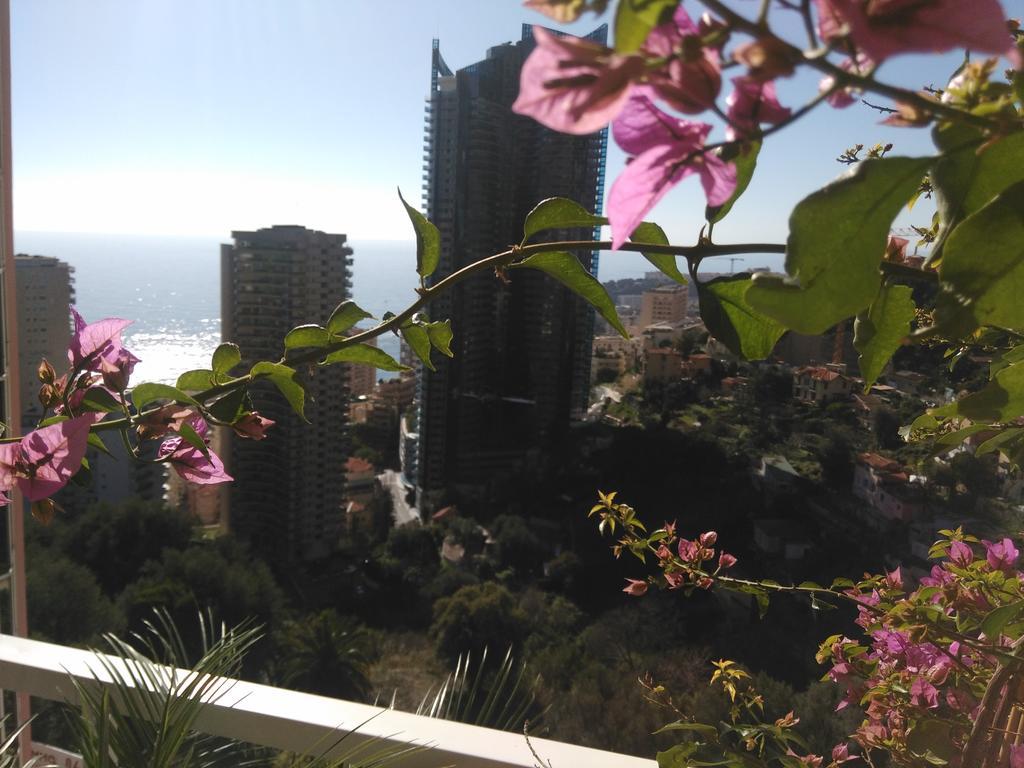 Monaco Pool Sea View Apartments 博索莱伊 外观 照片